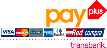 logo-webpay-footer